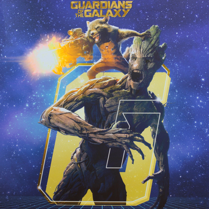 hottoys-guardians-of-the-galaxy-rocket-&-groot-set-box